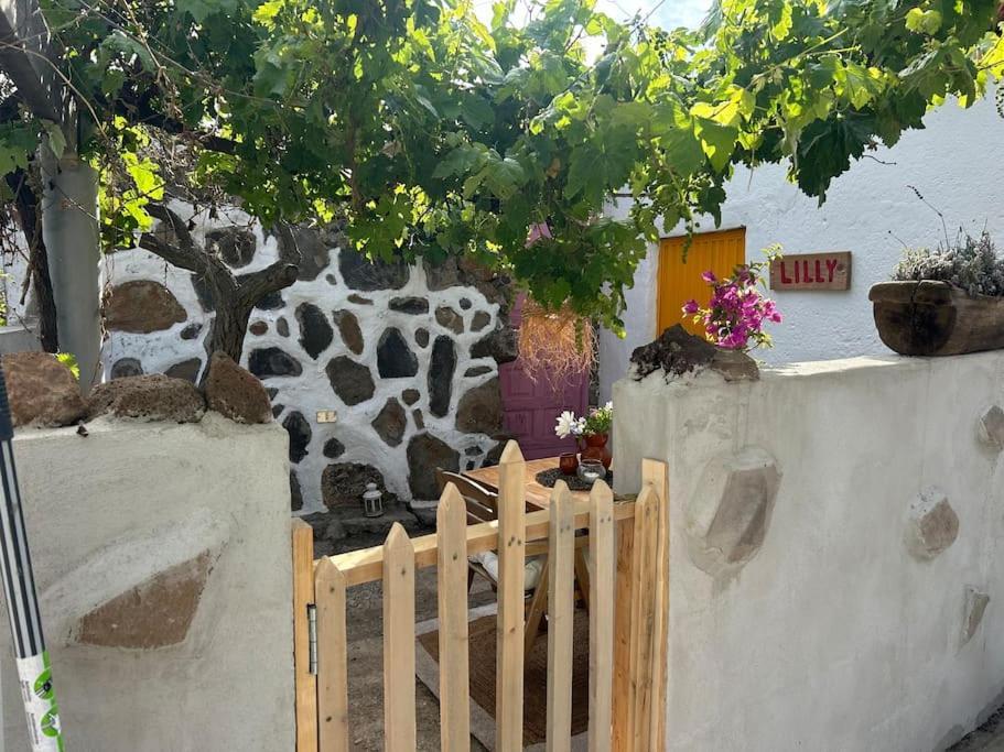 Lilly'S Finca - Romantischter Rueckzugsort - Pool Vilaflor Εξωτερικό φωτογραφία