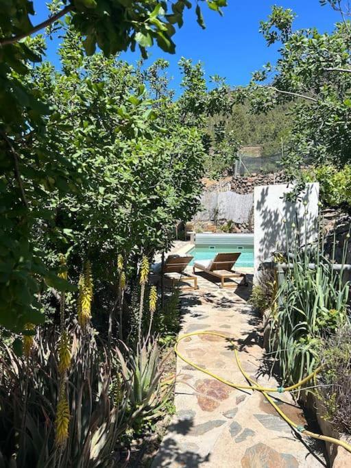 Lilly'S Finca - Romantischter Rueckzugsort - Pool Vilaflor Εξωτερικό φωτογραφία