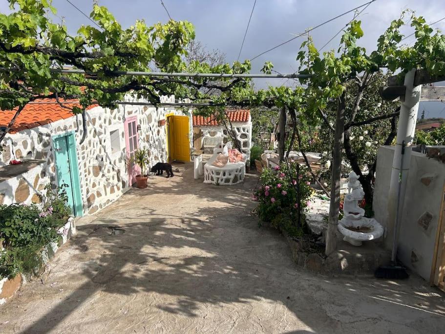 Lilly'S Finca - Romantischter Rueckzugsort - Pool Vilaflor Εξωτερικό φωτογραφία
