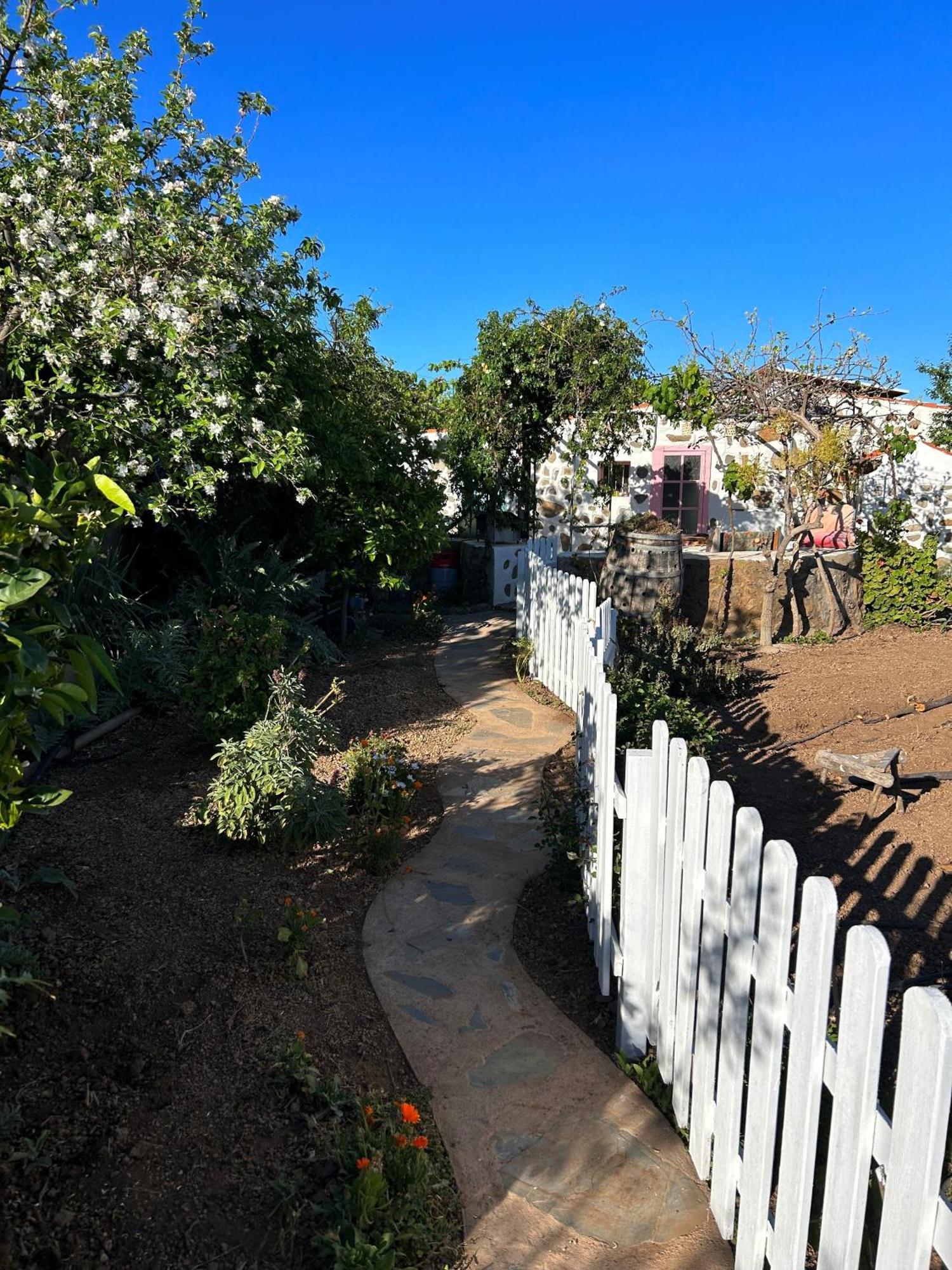 Lilly'S Finca - Romantischter Rueckzugsort - Pool Vilaflor Εξωτερικό φωτογραφία